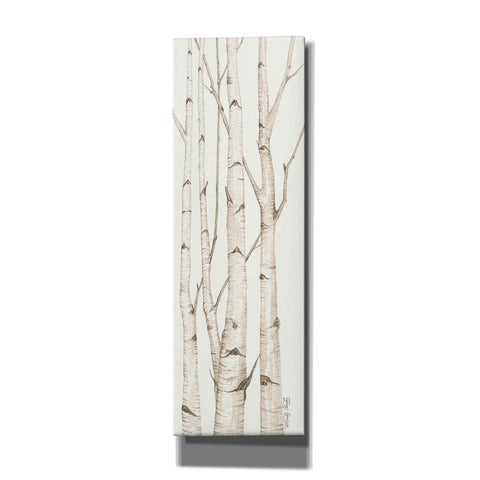 Image of 'Birch Trees I' by Cindy Jacobs, Canvas Wall Art
