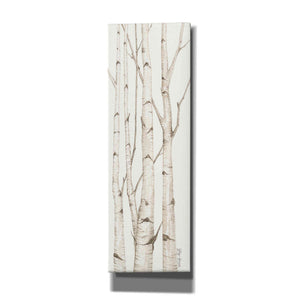 'Birch Trees I' by Cindy Jacobs, Canvas Wall Art