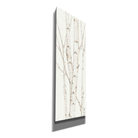 Image of 'Birch Trees II' by Cindy Jacobs, Canvas Wall Art