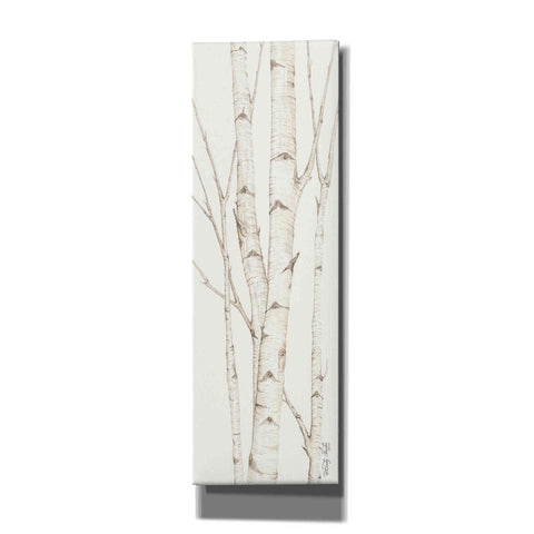 Image of 'Birch Trees II' by Cindy Jacobs, Canvas Wall Art