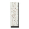 'Birch Trees II' by Cindy Jacobs, Canvas Wall Art