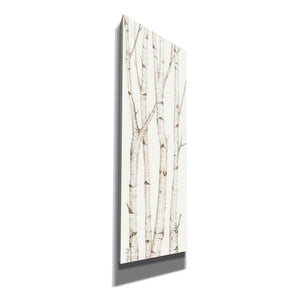 'Birch Trees III' by Cindy Jacobs, Canvas Wall Art