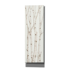 'Birch Trees III' by Cindy Jacobs, Canvas Wall Art