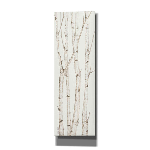 Image of 'Birch Trees III' by Cindy Jacobs, Canvas Wall Art