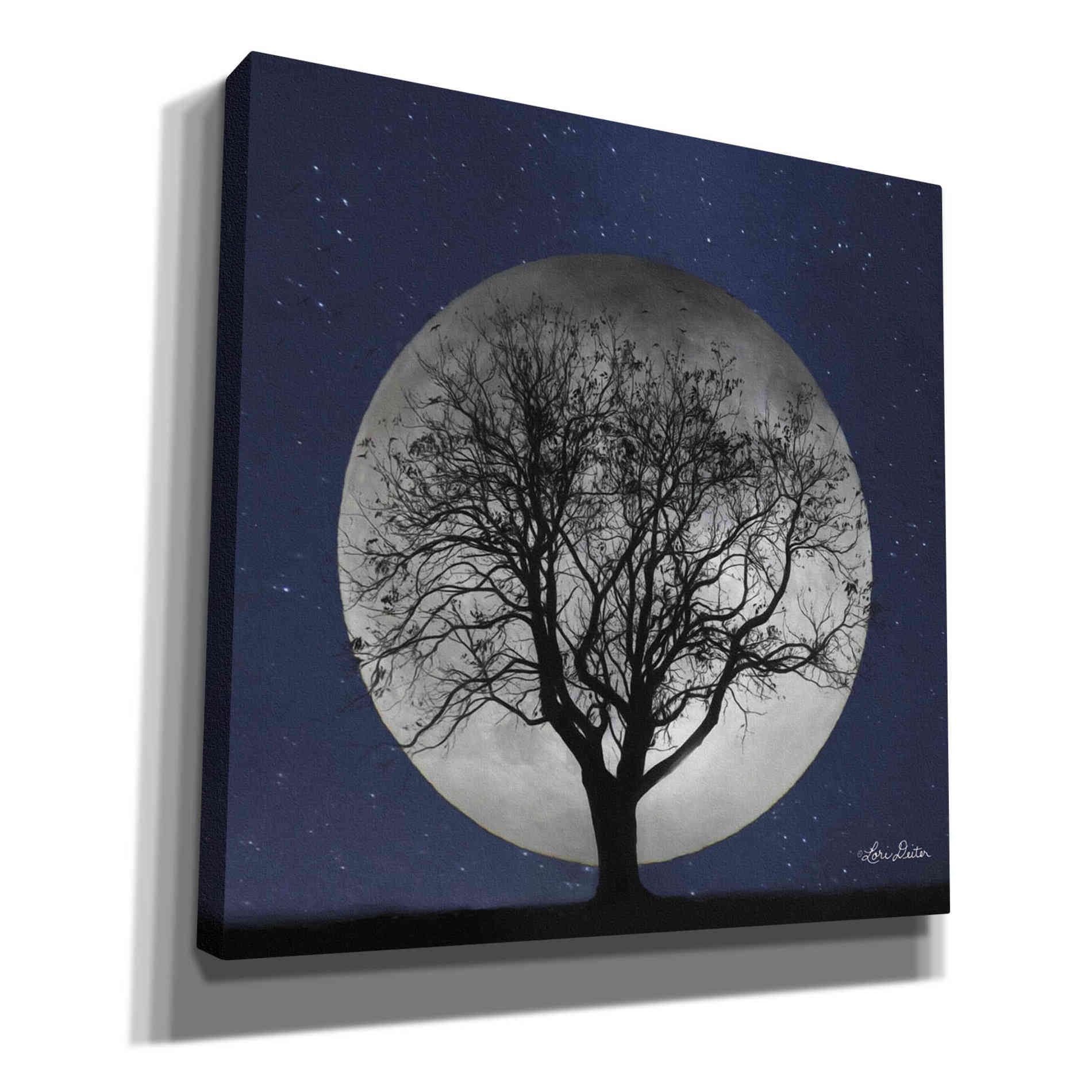 'Full Moon' by Lori Deiter, Canvas Wall Art