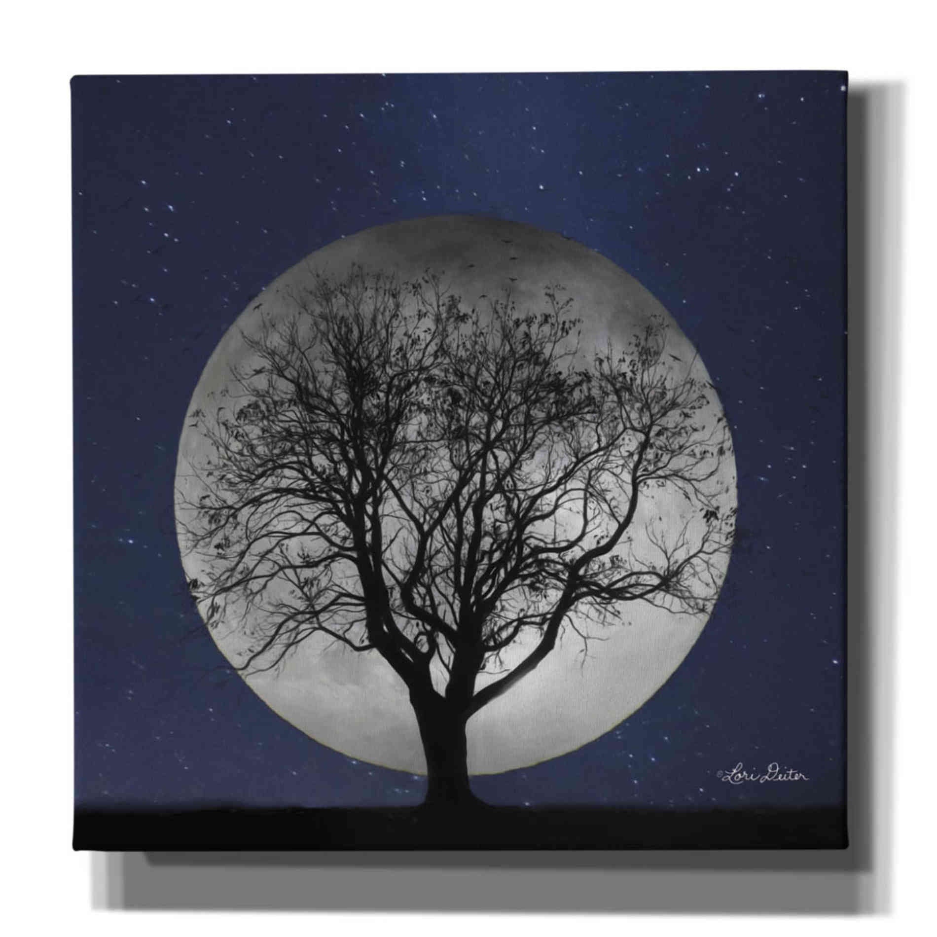 'Full Moon' by Lori Deiter, Canvas Wall Art