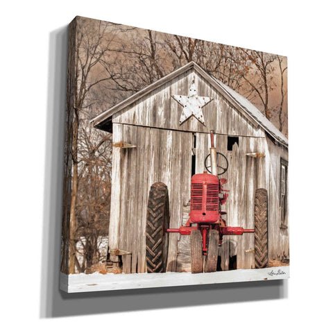 Image of 'Star Shed' by Lori Deiter, Canvas Wall Art