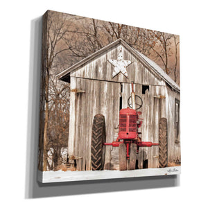 'Star Shed' by Lori Deiter, Canvas Wall Art