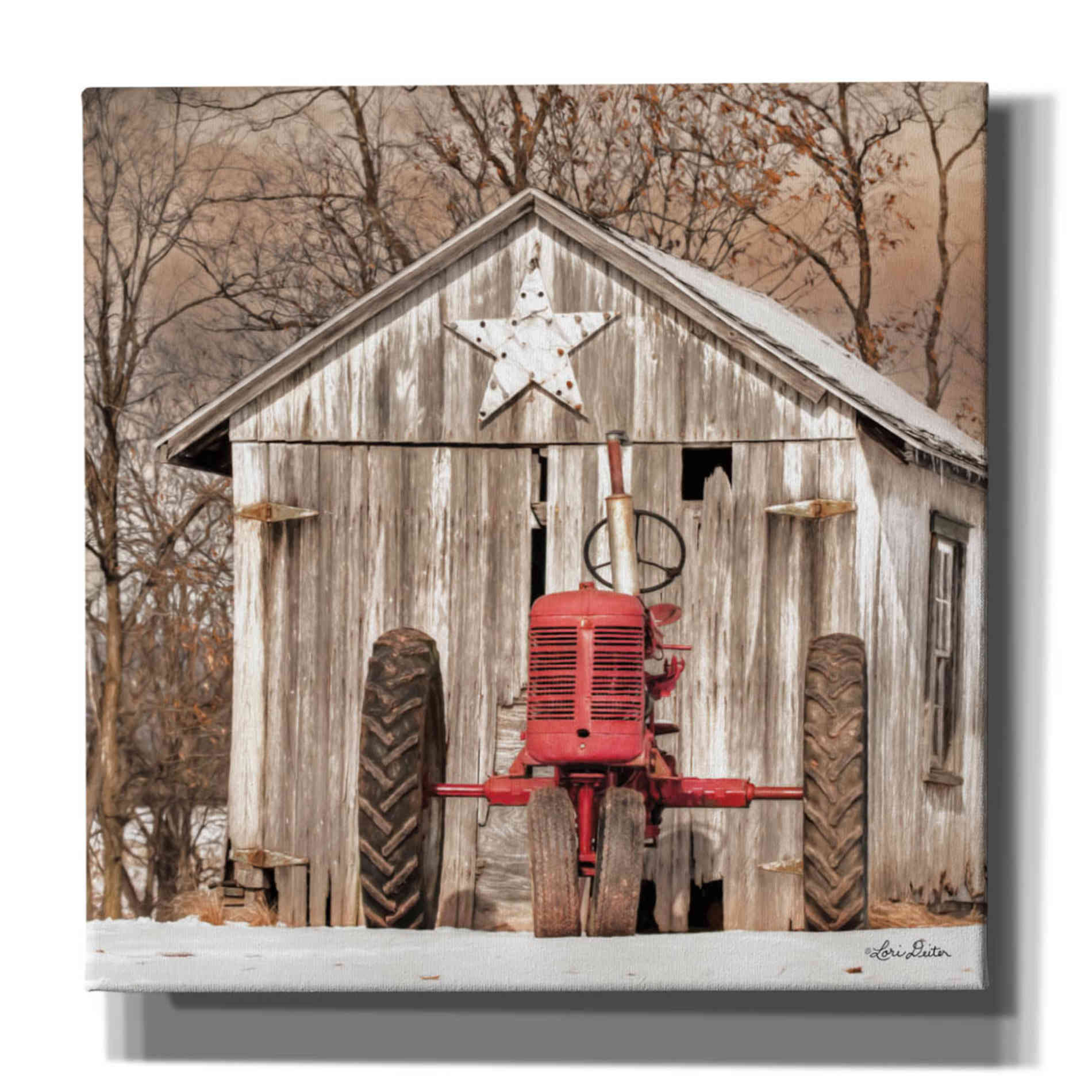 'Star Shed' by Lori Deiter, Canvas Wall Art