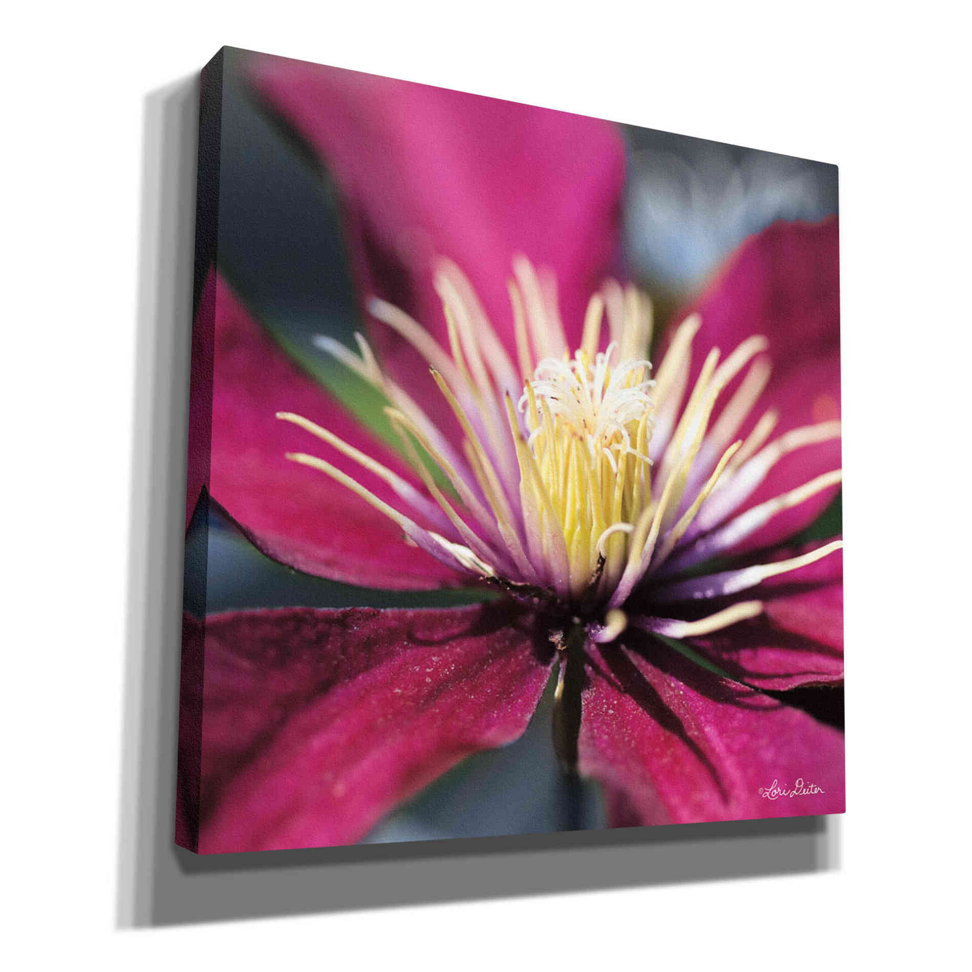 'Floral Pop II' by Lori Deiter, Canvas Wall Art