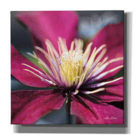 'Floral Pop II' by Lori Deiter, Canvas Wall Art