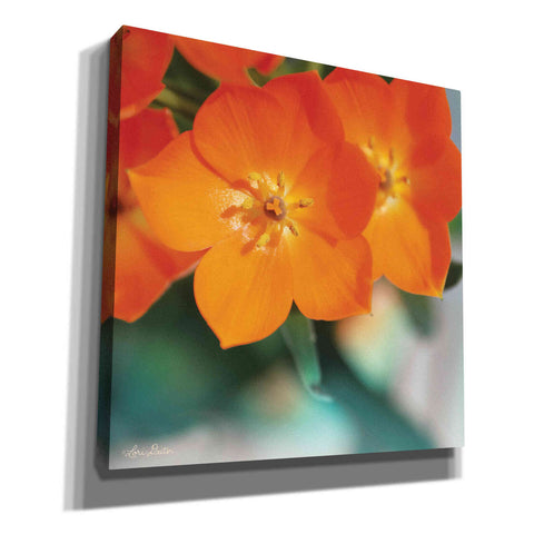 Image of 'Floral Pop III' by Lori Deiter, Canvas Wall Art