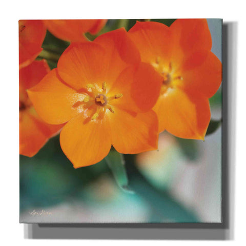 Image of 'Floral Pop III' by Lori Deiter, Canvas Wall Art