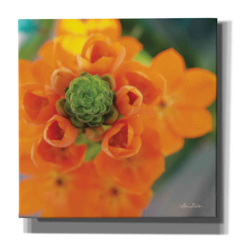 Image of 'Floral Pop IV' by Lori Deiter, Canvas Wall Art