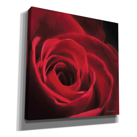 Image of 'The Red Rose I' by Lori Deiter, Canvas Wall Art