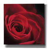'The Red Rose I' by Lori Deiter, Canvas Wall Art