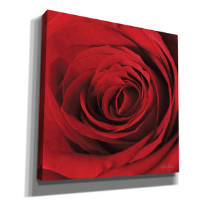 'The Red Rose II' by Lori Deiter, Canvas Wall Art