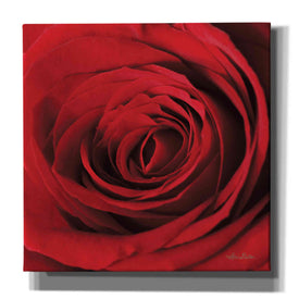 'The Red Rose II' by Lori Deiter, Canvas Wall Art
