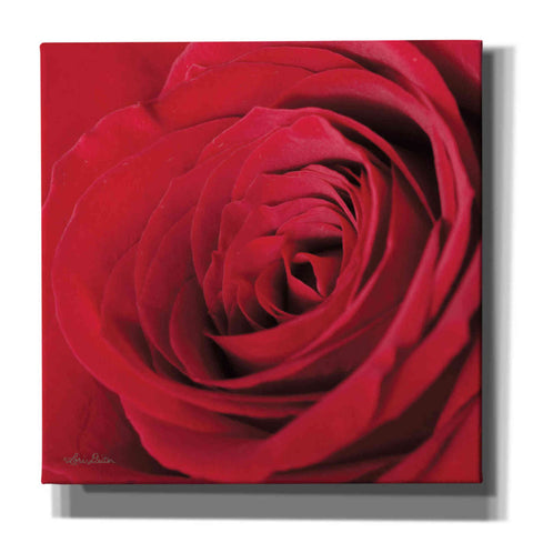 Image of 'The Red Rose III' by Lori Deiter, Canvas Wall Art