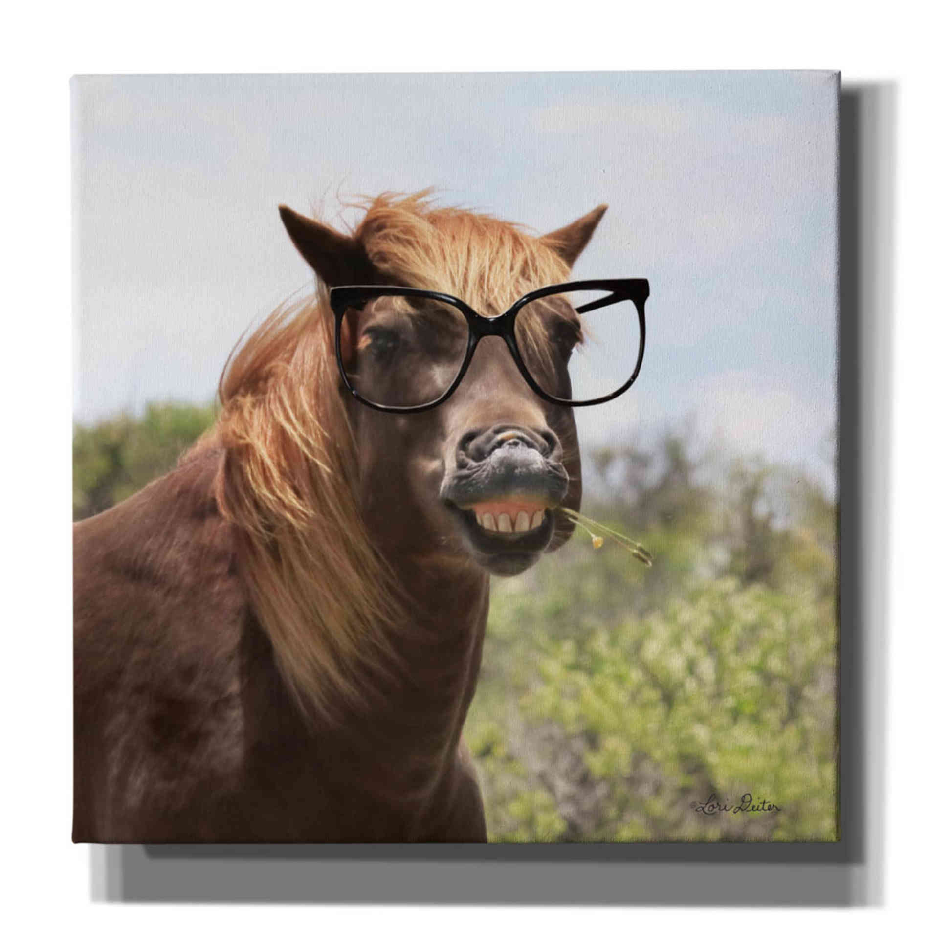 'Say Cheese Horse' by Lori Deiter, Canvas Wall Art