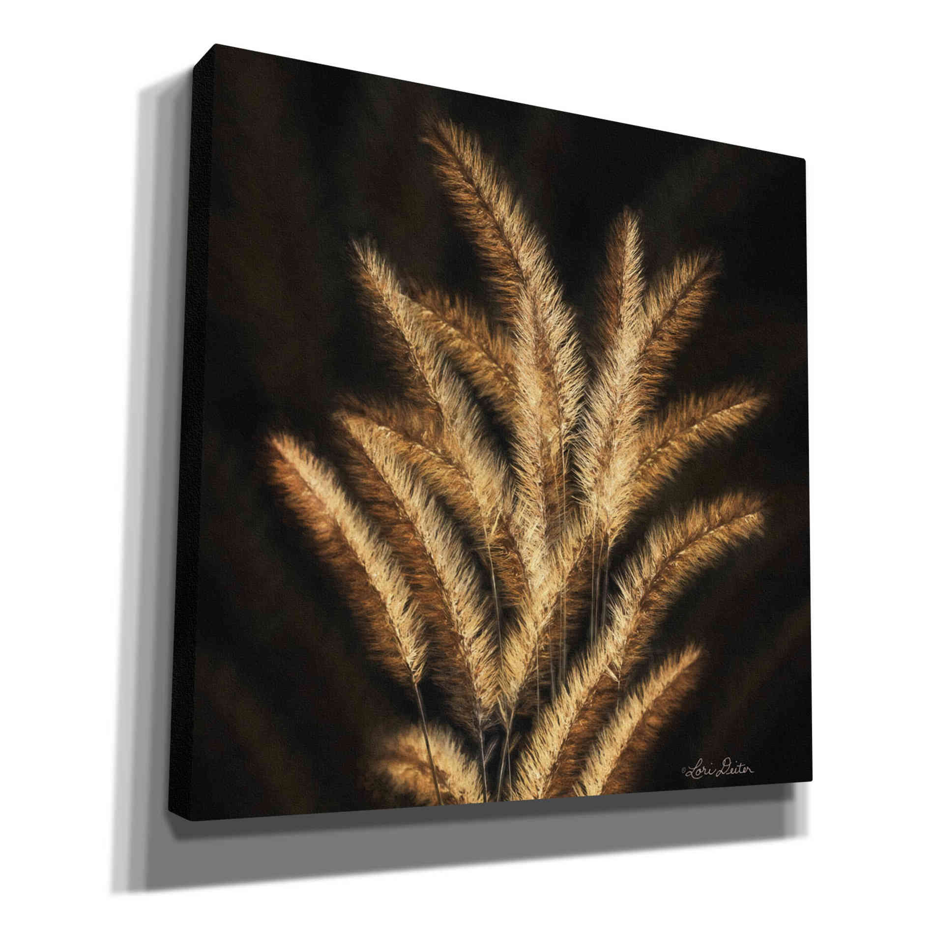 'Golden Grass II' by Lori Deiter, Canvas Wall Art