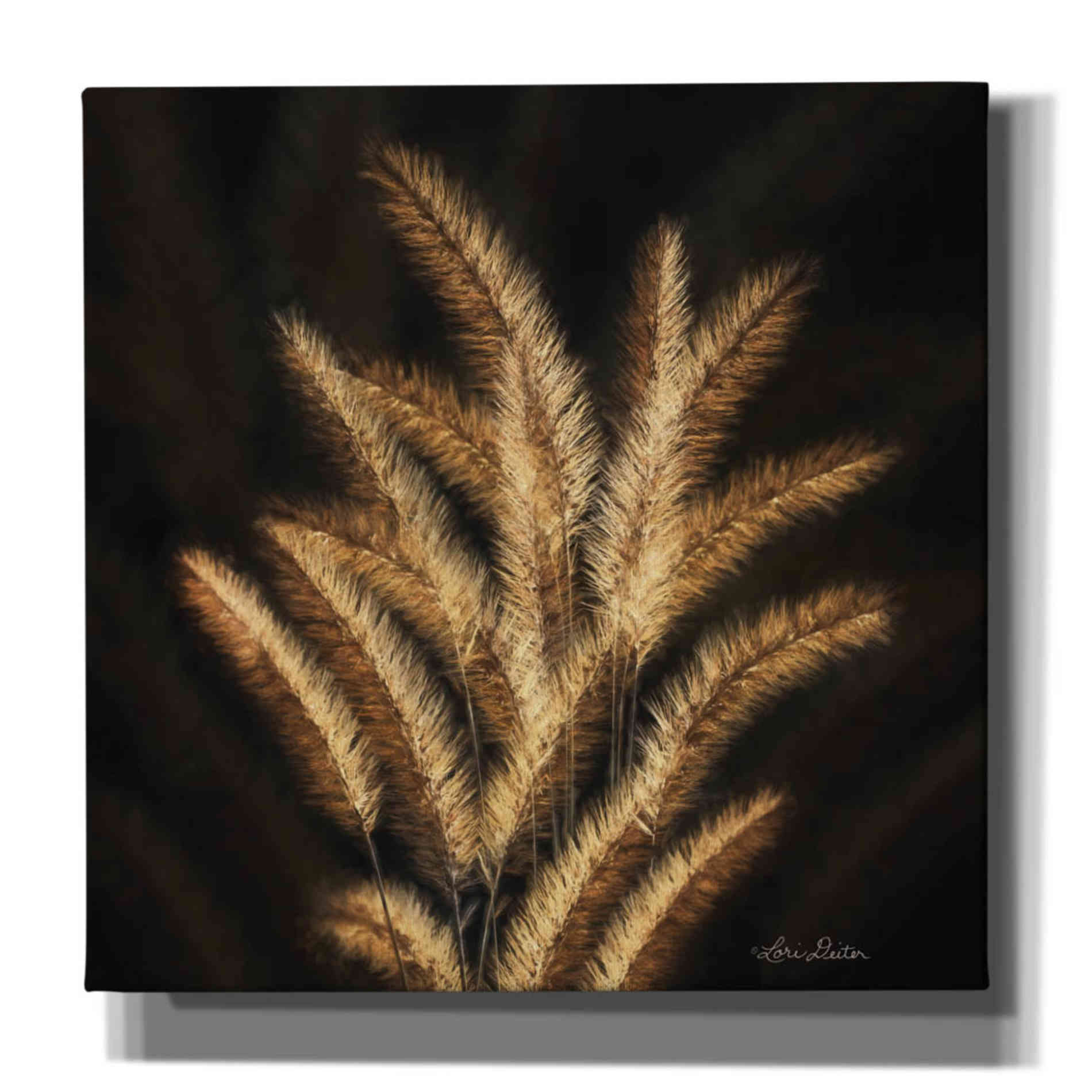 'Golden Grass II' by Lori Deiter, Canvas Wall Art