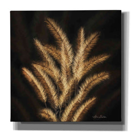 'Golden Grass II' by Lori Deiter, Canvas Wall Art