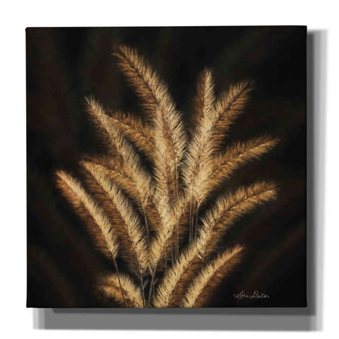 Image of 'Golden Grass II' by Lori Deiter, Canvas Wall Art