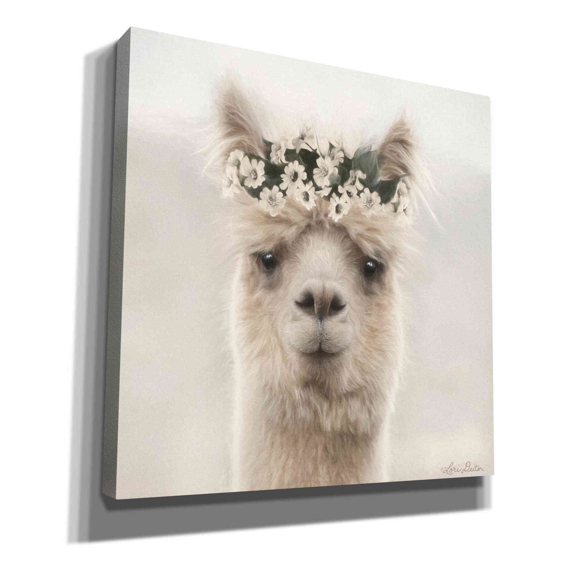 'Alpaca with Flowers' by Lori Deiter, Canvas Wall Art