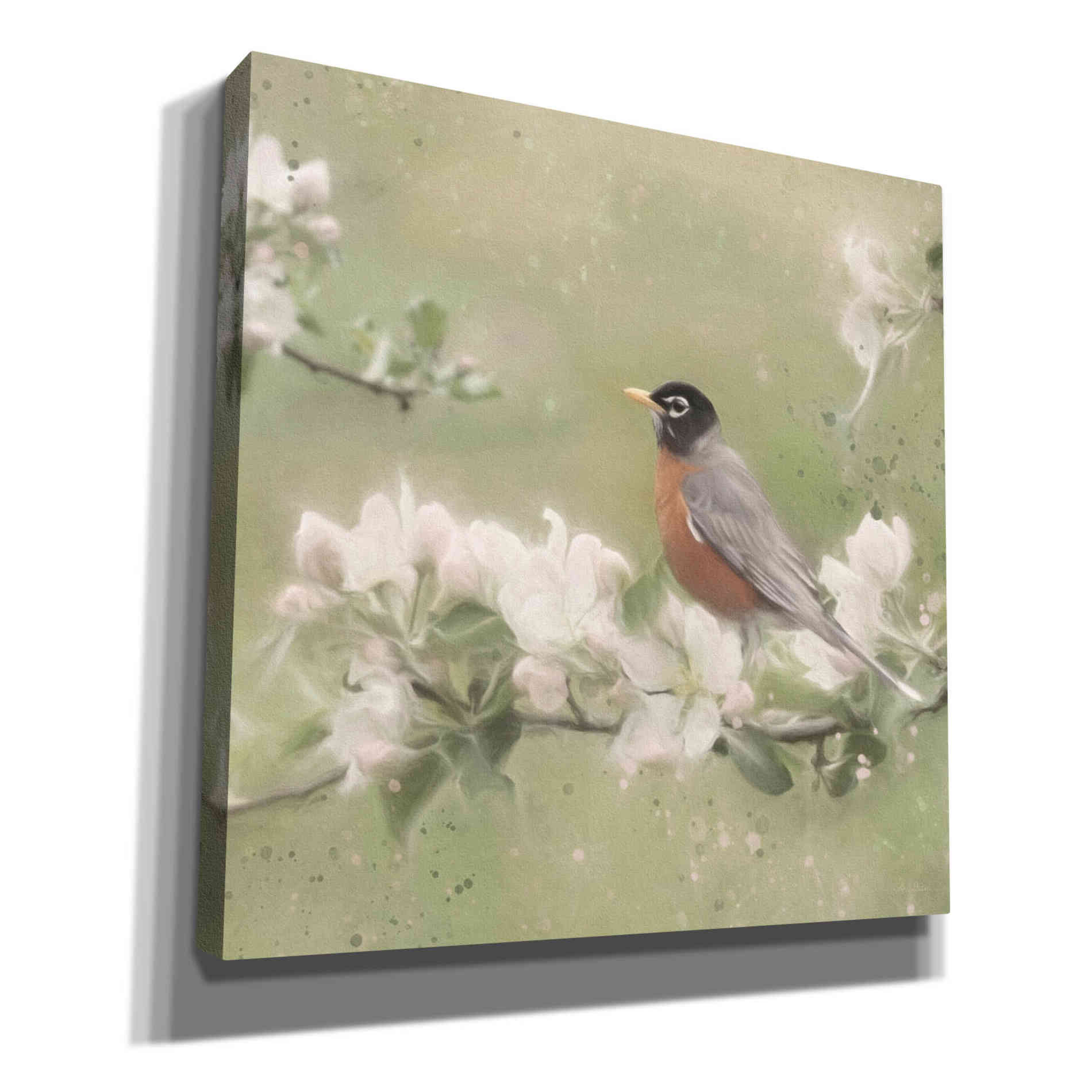 'Springtime Robin' by Lori Deiter, Canvas Wall Art