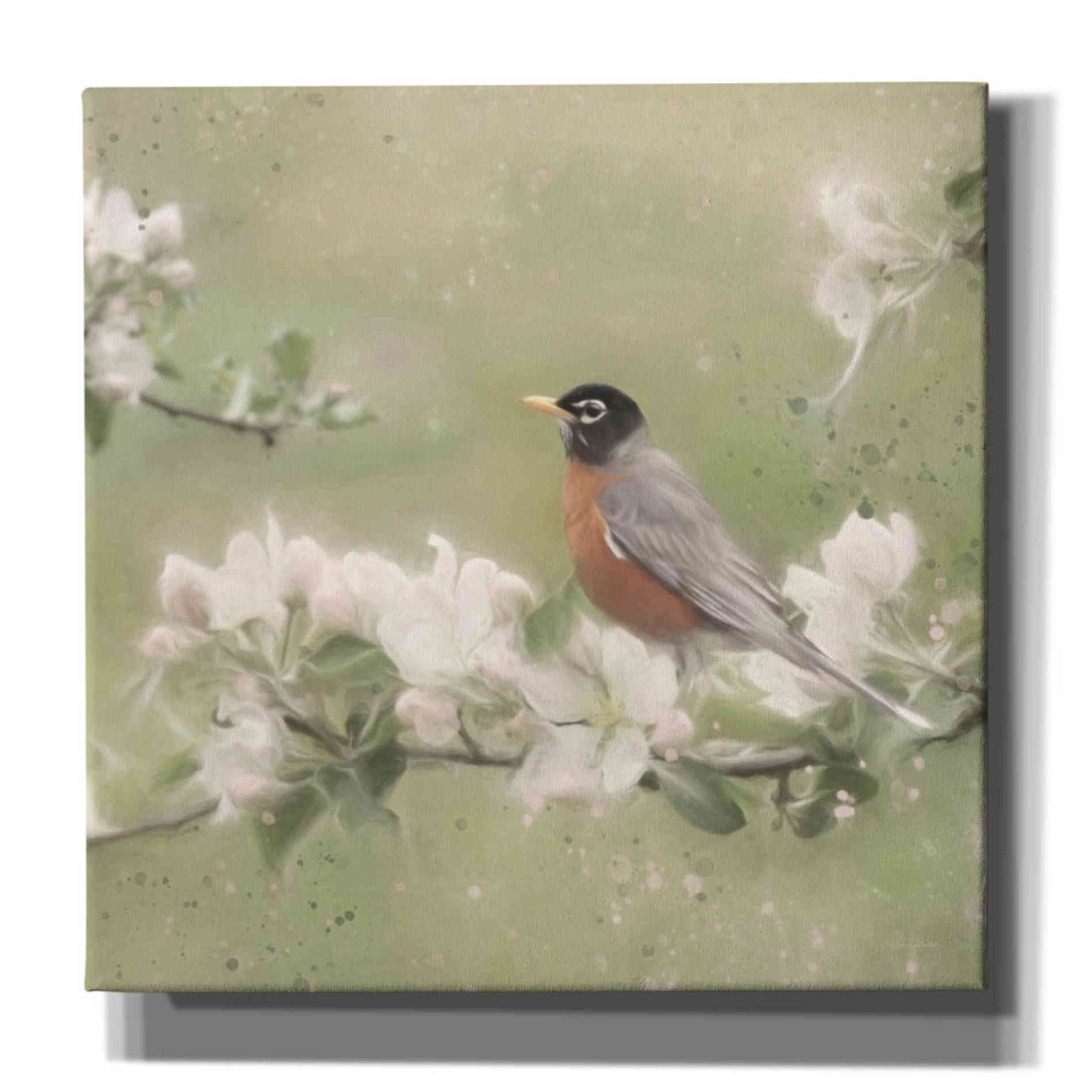 'Springtime Robin' by Lori Deiter, Canvas Wall Art