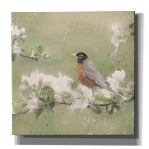 Image of 'Springtime Robin' by Lori Deiter, Canvas Wall Art