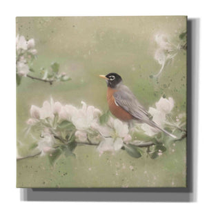 'Springtime Robin' by Lori Deiter, Canvas Wall Art