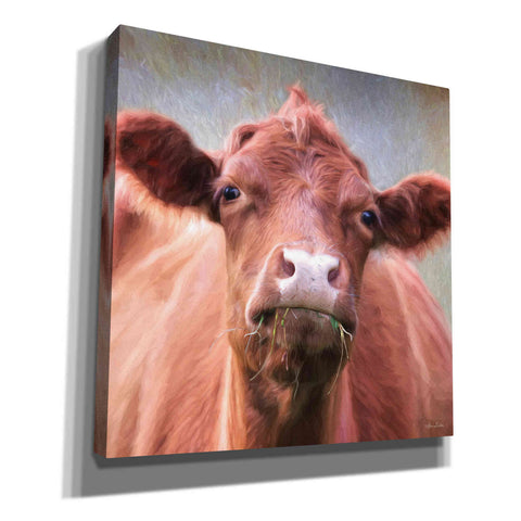 'The Brown Cow' by Lori Deiter, Canvas Wall Art
