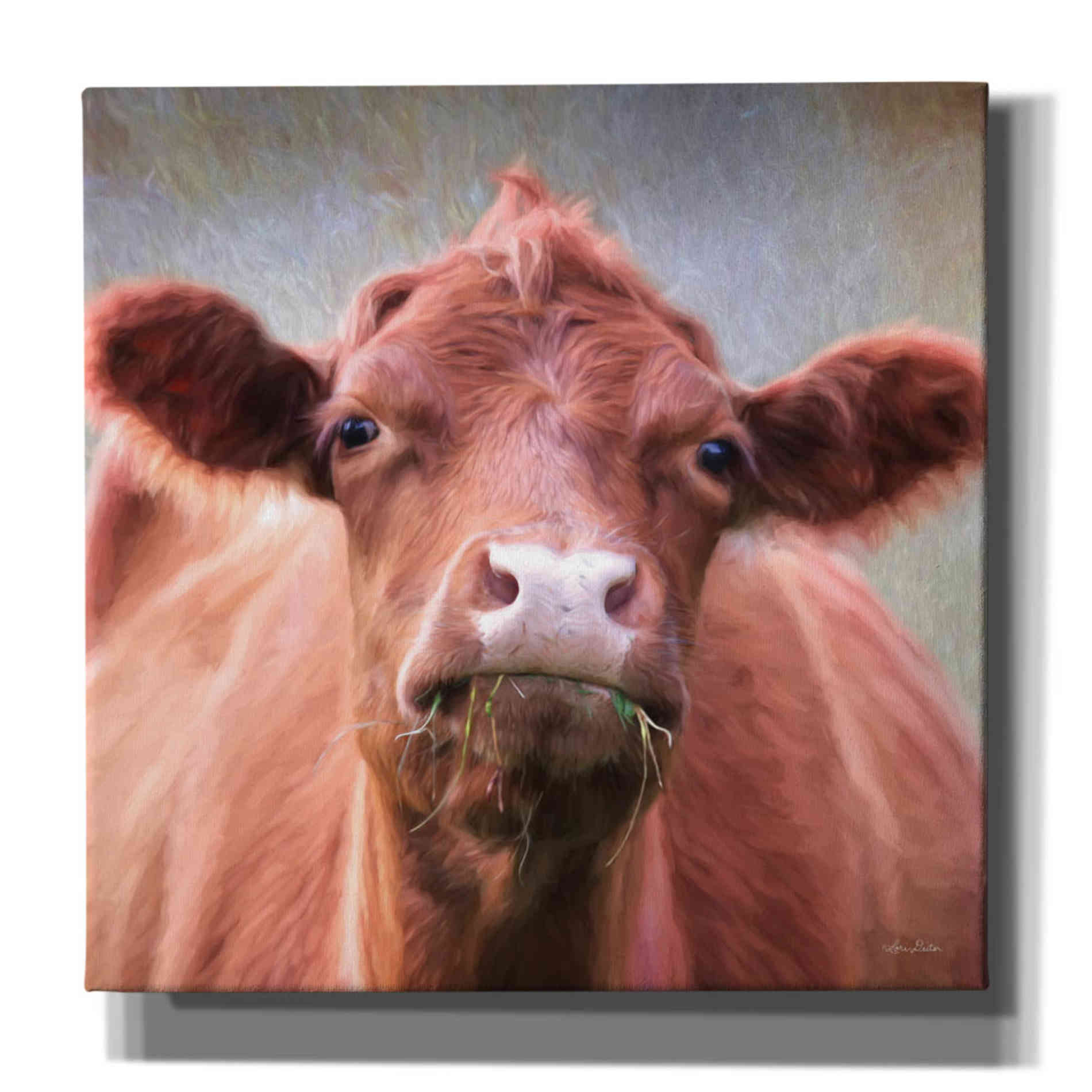 'The Brown Cow' by Lori Deiter, Canvas Wall Art