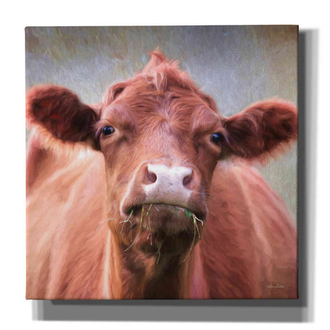 Image of 'The Brown Cow' by Lori Deiter, Canvas Wall Art