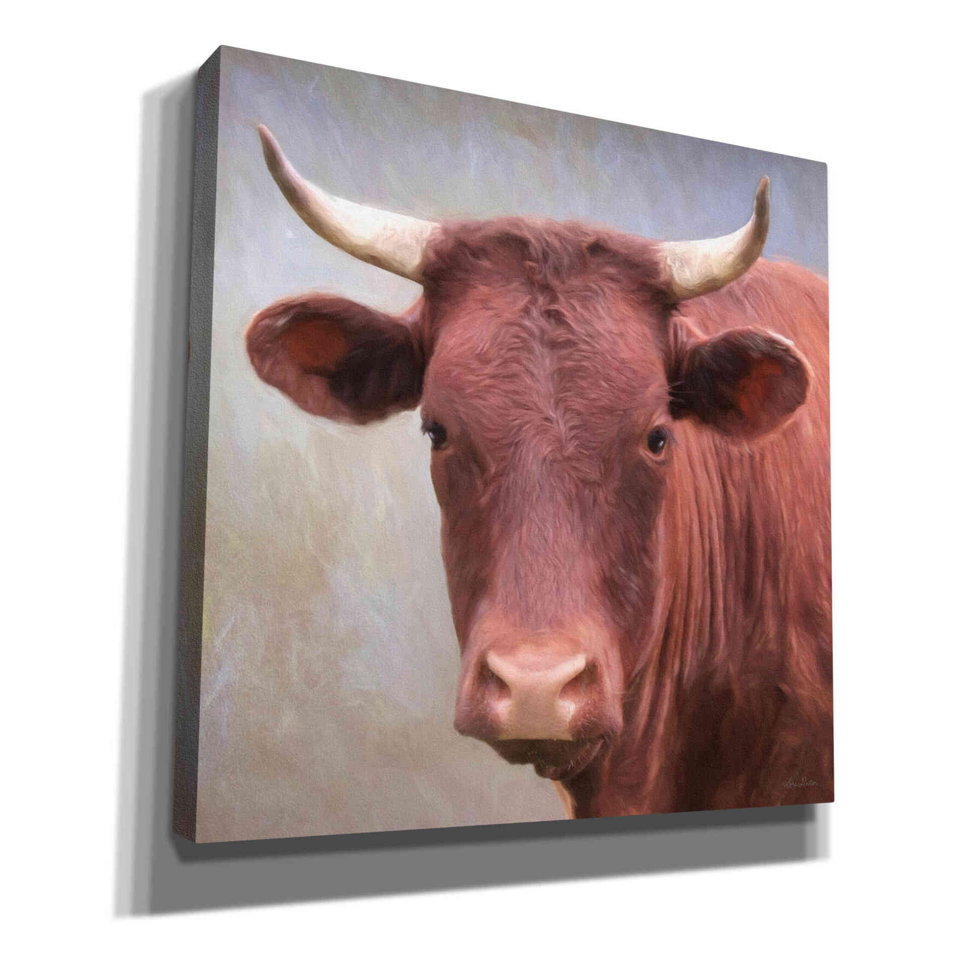'Bull Face' by Lori Deiter, Canvas Wall Art