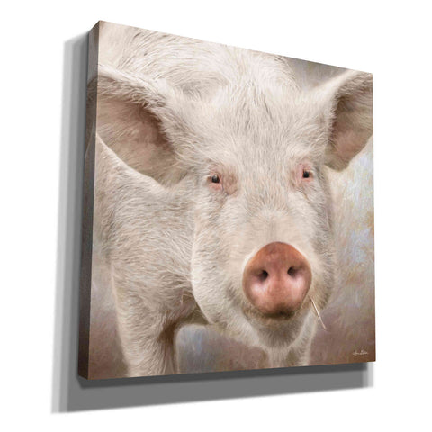 Image of 'Pig Face' by Lori Deiter, Canvas Wall Art