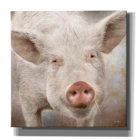Image of 'Pig Face' by Lori Deiter, Canvas Wall Art