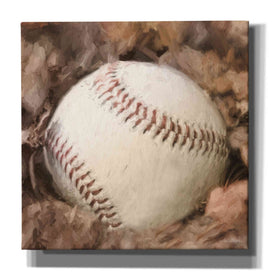 'Baseball Season' by Lori Deiter, Canvas Wall Art