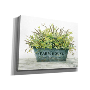 'Farmhouse Local' by Cindy Jacobs, Canvas Wall Art