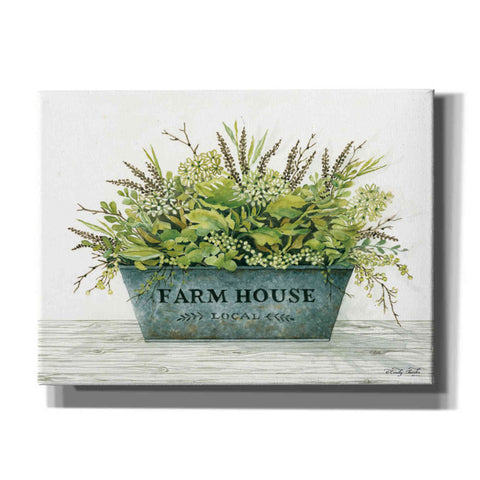 Image of 'Farmhouse Local' by Cindy Jacobs, Canvas Wall Art