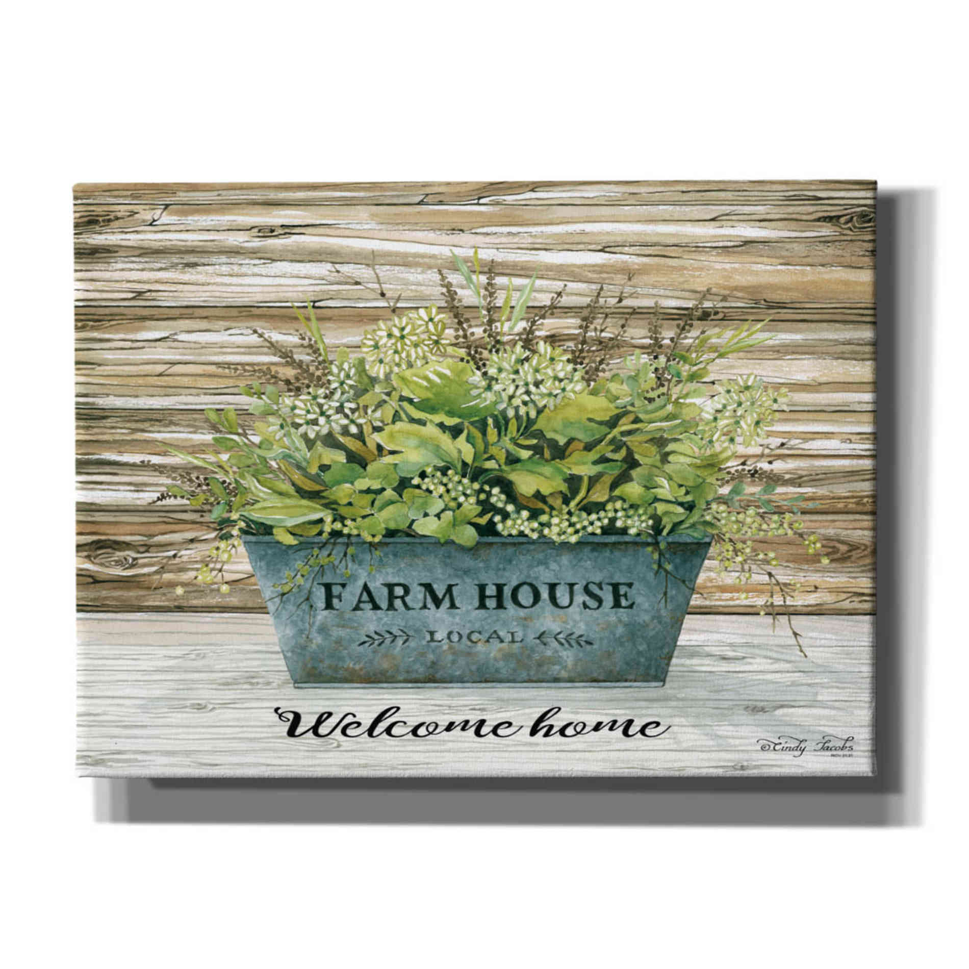 'Welcome Home' by Cindy Jacobs, Canvas Wall Art