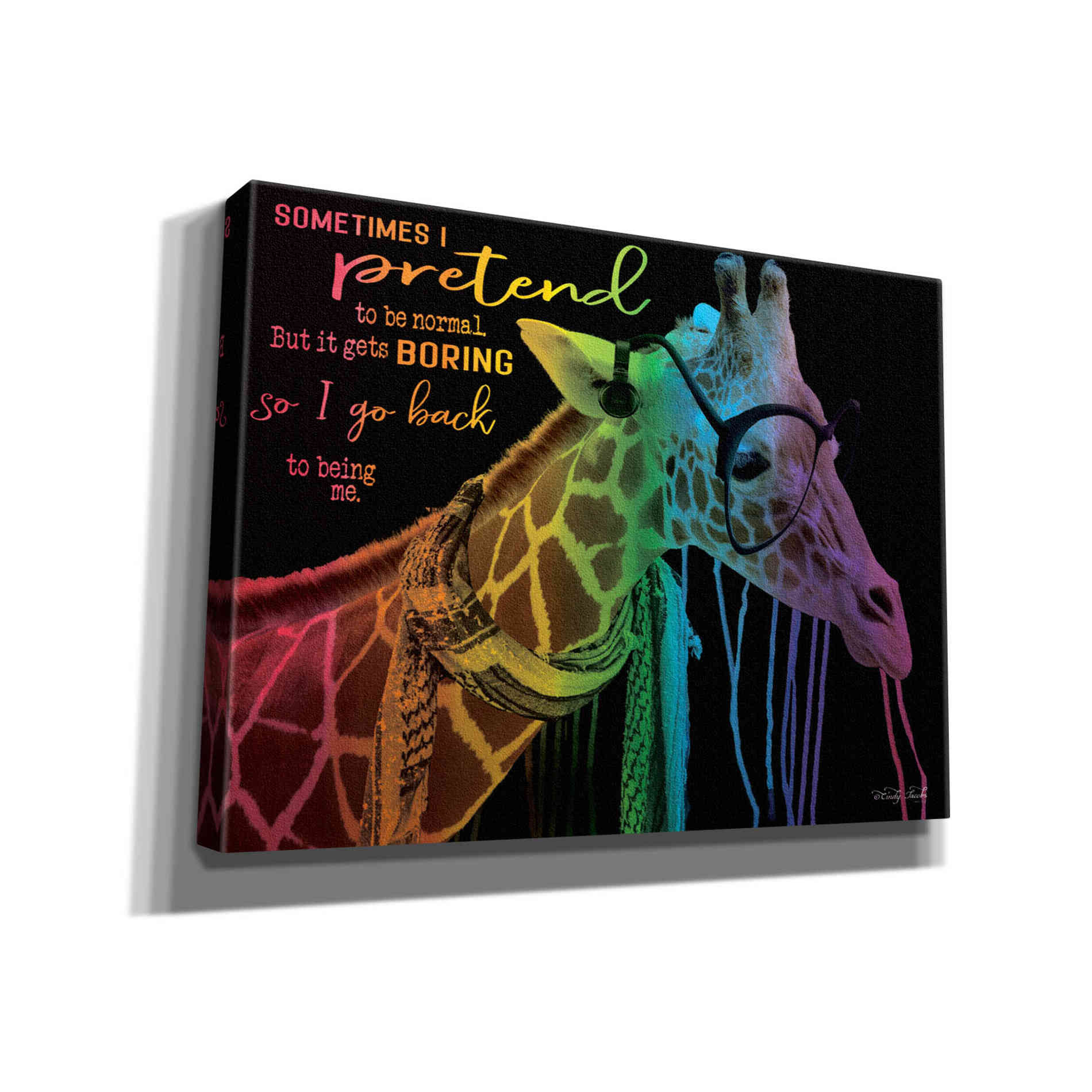 'Sometimes I Pretend' by Cindy Jacobs, Canvas Wall Art