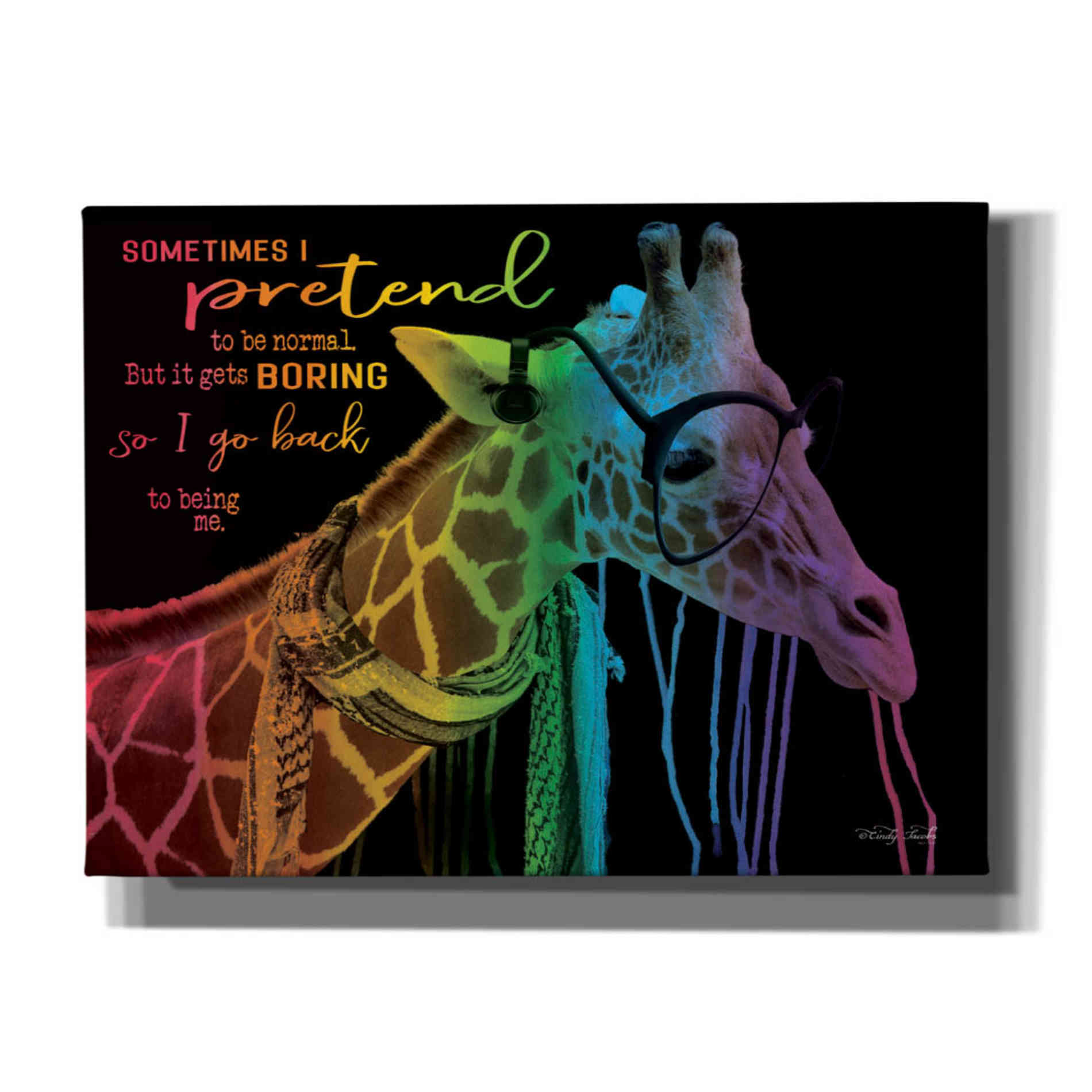 'Sometimes I Pretend' by Cindy Jacobs, Canvas Wall Art