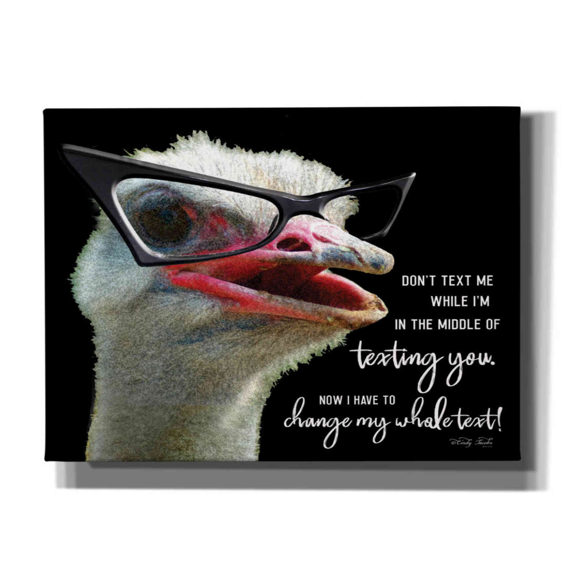 'Ostrich Don't Text Me' by Cindy Jacobs, Canvas Wall Art