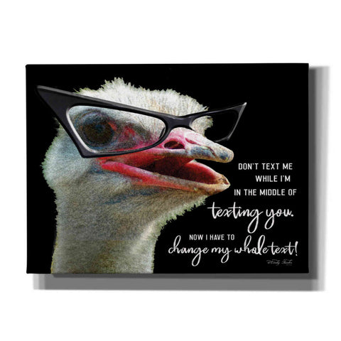 Image of 'Ostrich Don't Text Me' by Cindy Jacobs, Canvas Wall Art