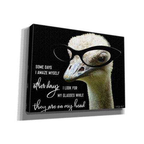 Image of 'Ostrich Some Days I Amaze Myself' by Cindy Jacobs, Canvas Wall Art