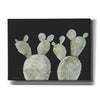 'Happy Cactus II' by Cindy Jacobs, Canvas Wall Art