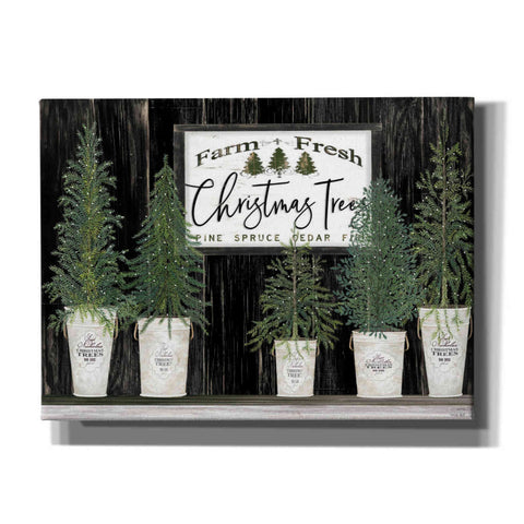 Image of 'Farm Fresh Trees of Christmas' by Cindy Jacobs, Canvas Wall Art